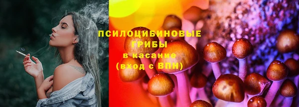прущие крисы Абаза