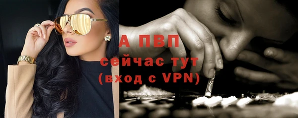 тгк Корсаков