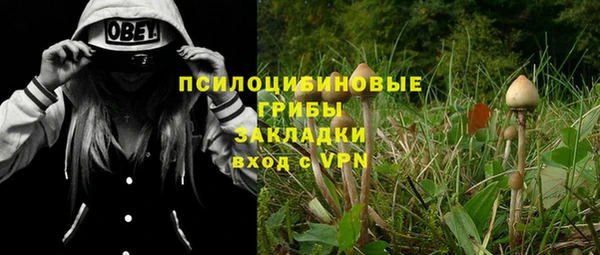 гашик Алзамай