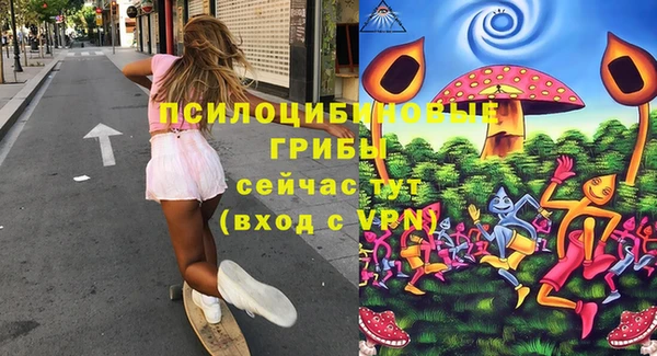 спиды Алексеевка