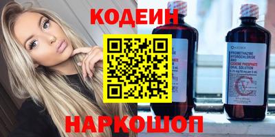 индика Пенза