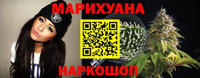 индика Пенза