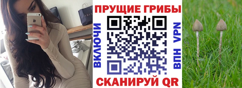 Псилоцибиновые грибы мухоморы mega ссылка Шумерля
