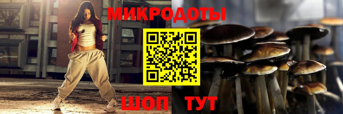 Псилоцибиновые грибы GOLDEN TEACHER Шумерля